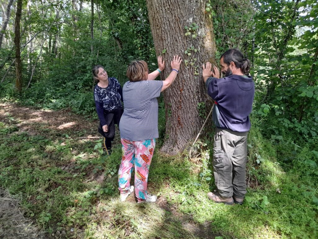 sylvothérapie, embrasser les arbres